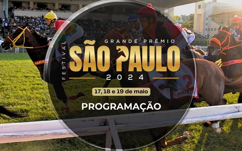 28 páreos movimentam a programação dos três dias do Festival do Grande Prêmio São Paulo 2024