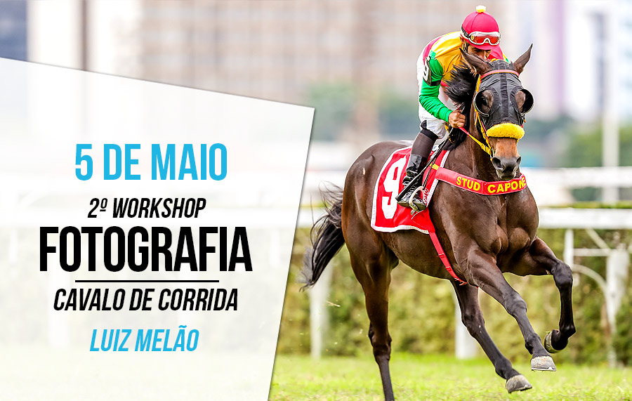 Dia 05 de Maio: Workshop de fotografia de cavalo com Luiz Melão. Inscreva-se! Dia 05 de Maio: Workshop de fotografia de cavalo com Luiz Melão. Inscreva-se!