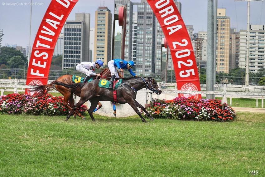Joya Surena bate Best Style na Prova Especial Assembleia Legislativa