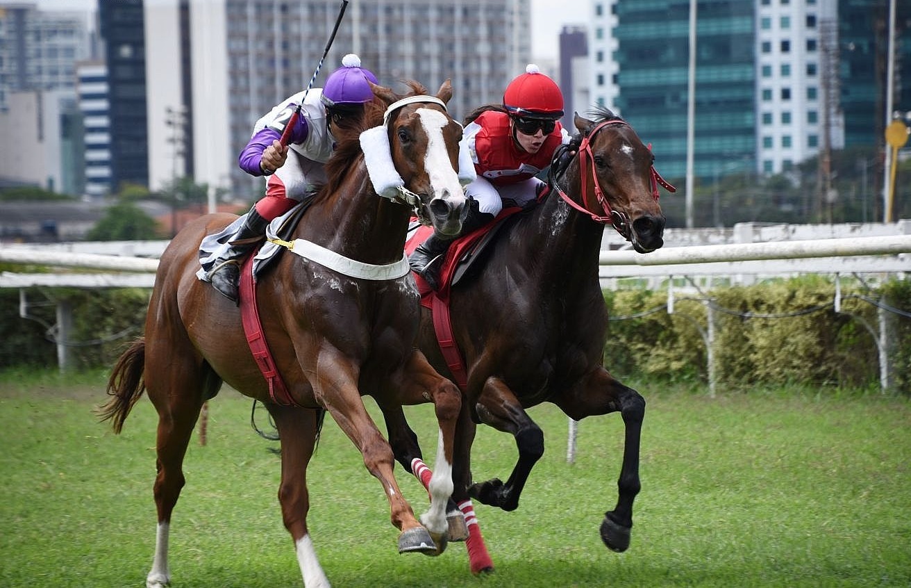 Hoje em Cidade Jardim tem Grande Prêmio na areia para éguas