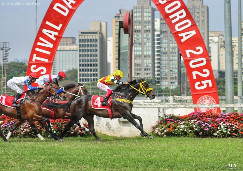 Quero Te Mucho surpreende os favoritos no GP Ministro da Agricultura (G2)