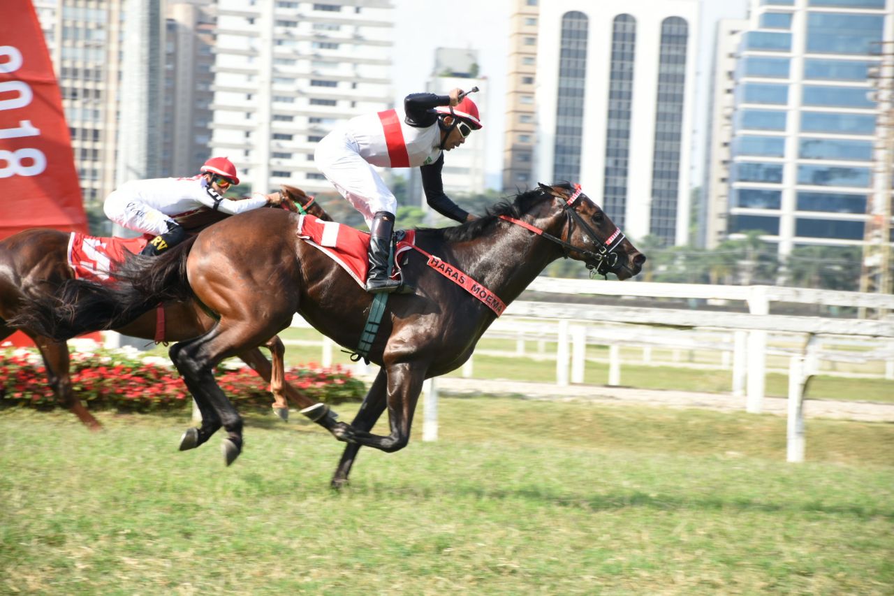 Olímpico bate Quick Hillie no GP Juliano Martins (G1) Olímpico bate Quick Hillie no GP Juliano Martins (G1)