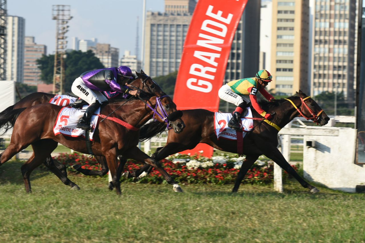 Euquemando no GP São Paulo - Black Opal (G1) Euquemando no GP São Paulo - Black Opal (G1)
