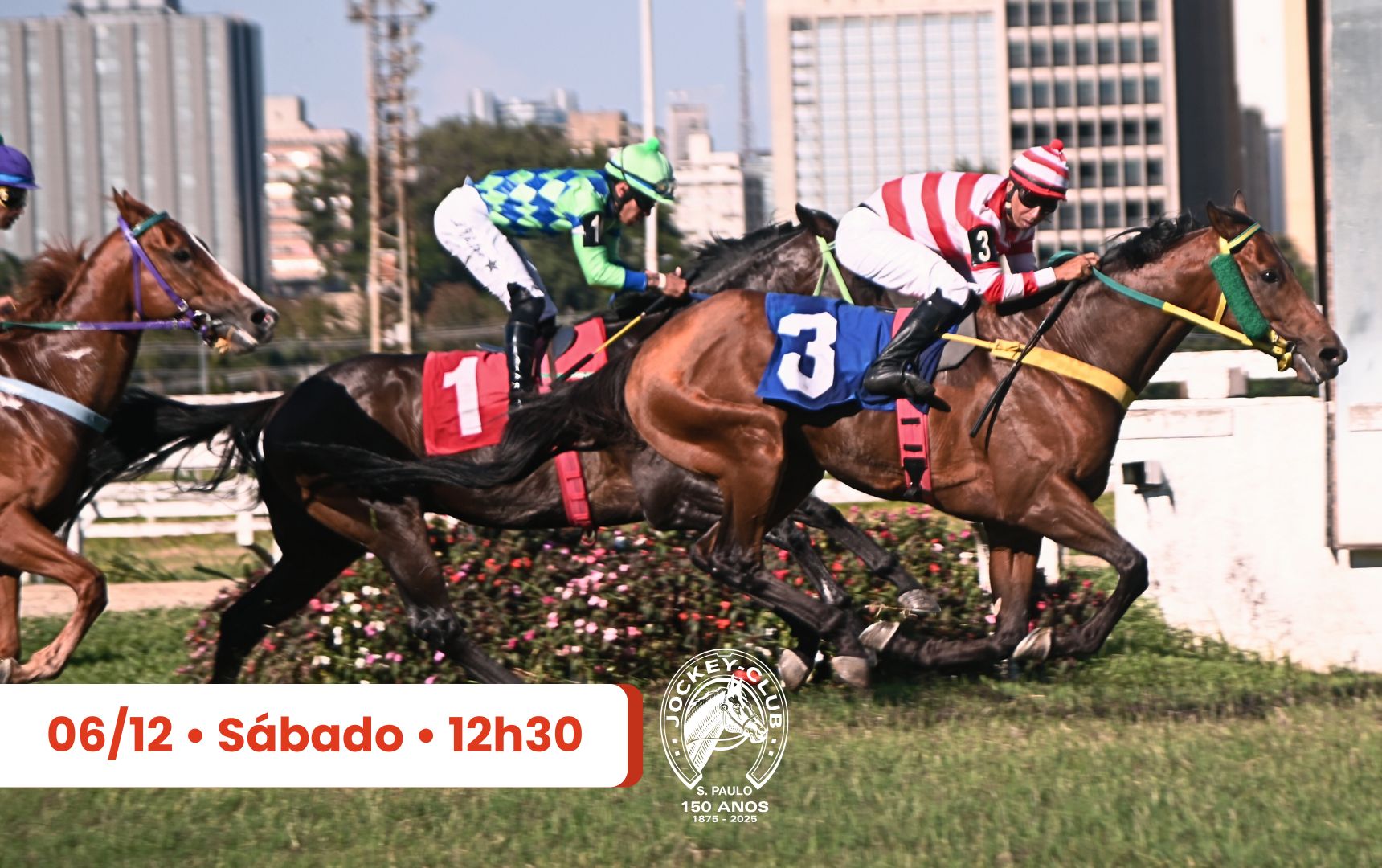 Oito páreos movimentam a programação em Cidade Jardim