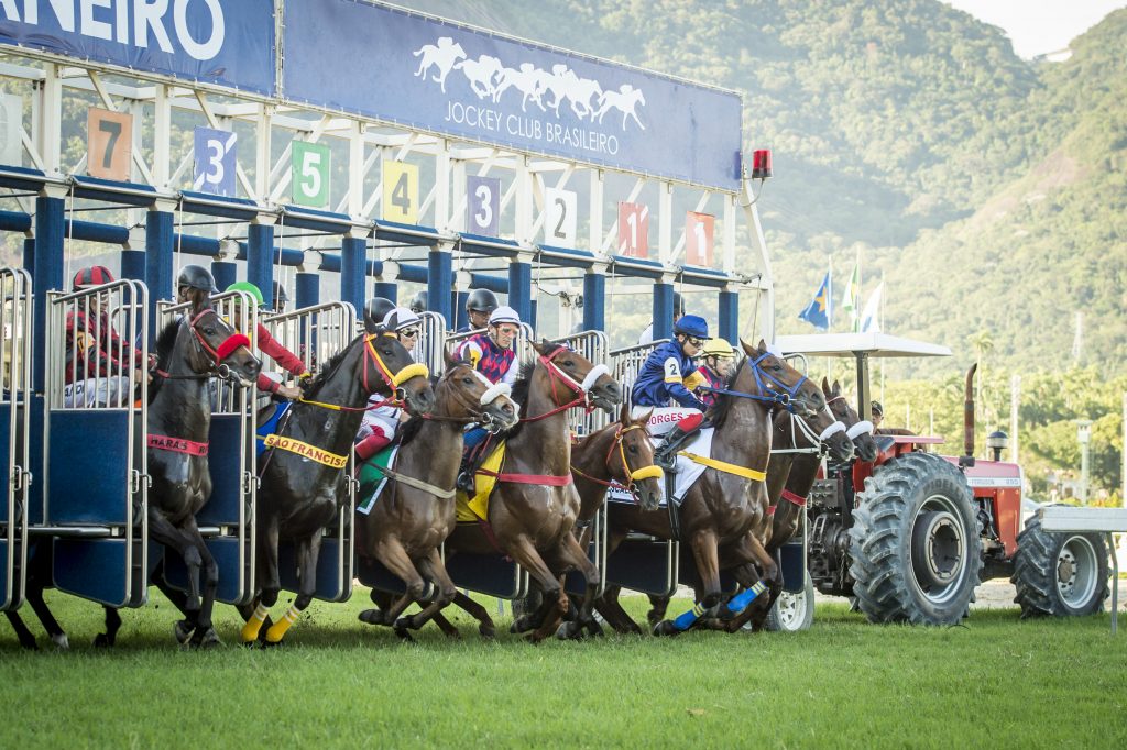 Hoje tem corridas na Gávea a partir das 18h00 e o Pick 7 e o Betting 4 como atrações
