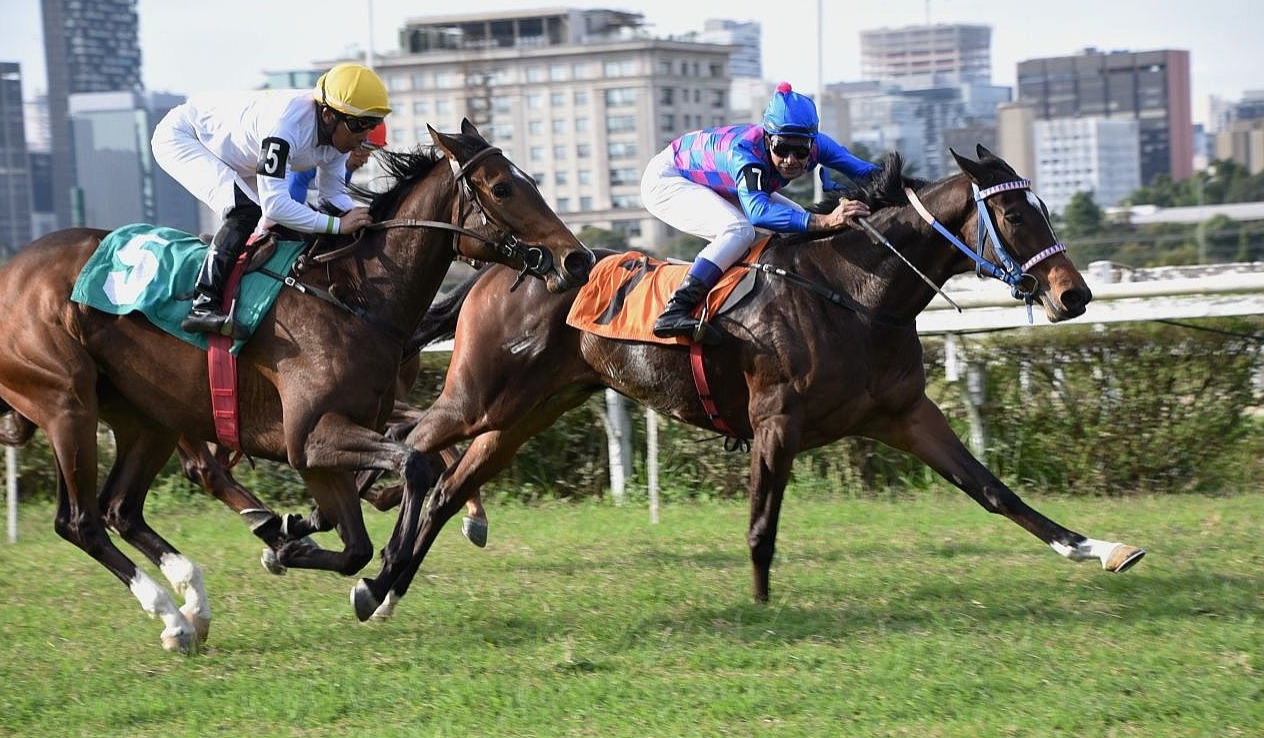 Copa dos Campeões é o destaque de hoje em Cidade Jardim
