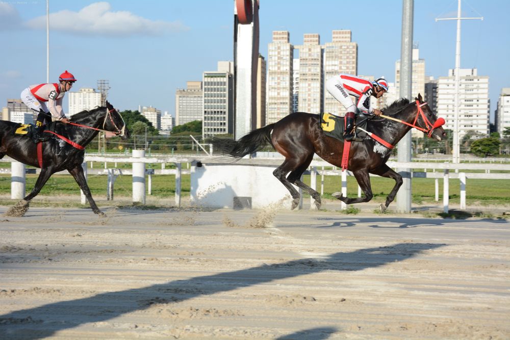 Favorito Set Ly fatura a Prova Especial General Euclydes de Oliveira Figueiredo Favorito Set Ly fatura a Prova Especial General Euclydes de Oliveira Figueiredo