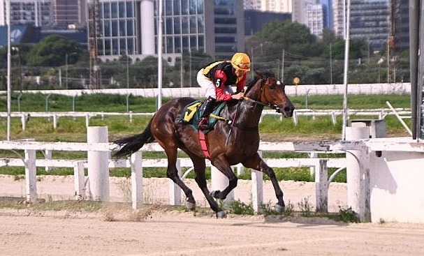 Um galope de saúde de Shallow Now na areia de Cidade Jardim!