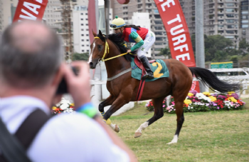 XXXI Copa Japao de Turfe 2025