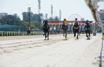 XXV Copa Japão de Turfe