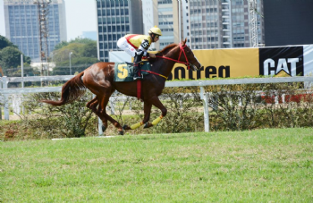 XXV Copa Japão de Turfe