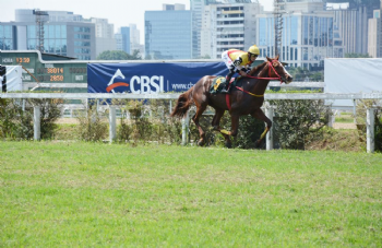 XXV Copa Japão de Turfe