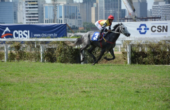 XXV Copa Japão de Turfe