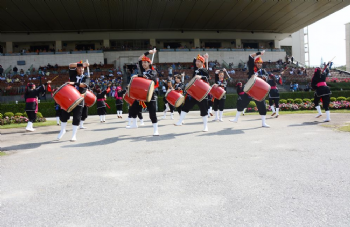 XXV Copa Japão de Turfe