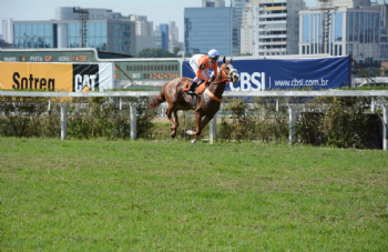 XXV Copa Japão de Turfe