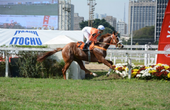 XXV Copa Japão de Turfe