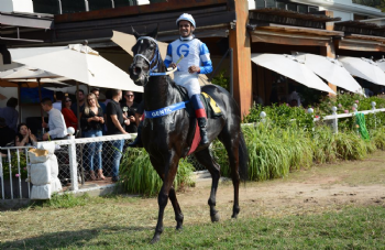 XXV Copa Japão de Turfe