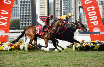 XXV Copa Japão de Turfe