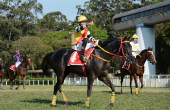 XXV Copa Japão de Turfe