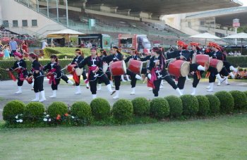 XXV Copa Japão de Turfe