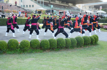 XXV Copa Japão de Turfe