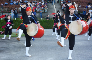 XXV Copa Japão de Turfe