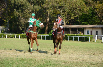 XXV Copa Japão de Turfe