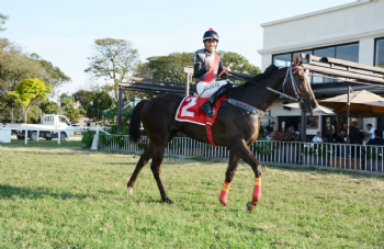 XXV Copa Japão de Turfe