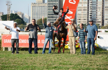 XXV Copa Japão de Turfe