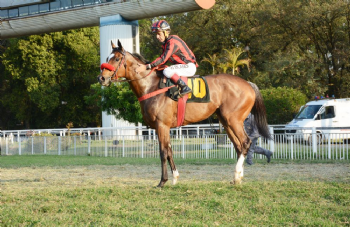 XXV Copa Japão de Turfe